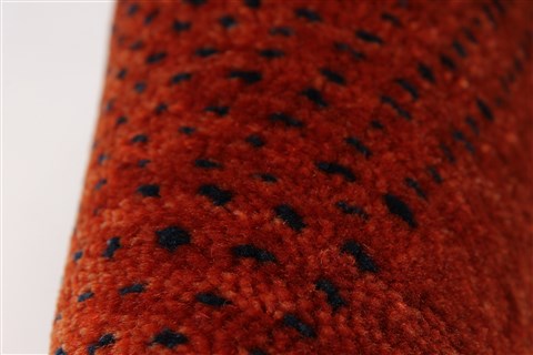 Gabbeh Red Hand Knotted 30 X 50 Area Rug 250-27697 Image 5
