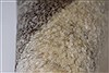Gabbeh Beige Hand Knotted 33 X 46 Area Rug 250-27713 Thumb 7