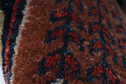Bakhtiar Multicolor Hand Knotted 31 X 54 Area Rug 250-27714 Image 9