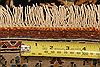 Qum Brown Hand Knotted 48 X 78 Area Rug 100-27720 Thumb 5