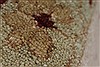 Chobi Beige Runner Hand Knotted 210 X 102 Area Rug 250-27725 Thumb 1