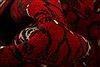 Bokhara Red Runner Hand Knotted 29 X 82 Area Rug 253-27759 Thumb 1
