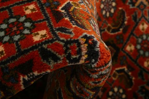 Bidjar Brown Hand Knotted 610 X 95 Area Rug 253-27761 Image 1