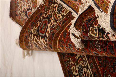 Bidjar Brown Hand Knotted 610 X 95 Area Rug 253-27761 Image 3