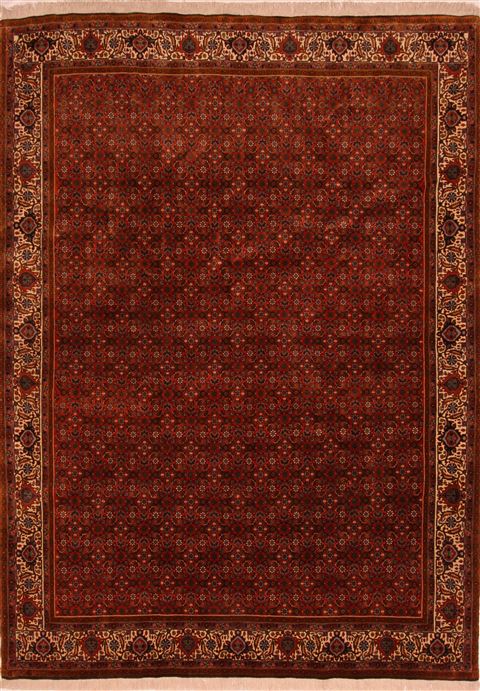 Bidjar Brown Hand Knotted 610 X 95 Area Rug 253-27761 Image 0