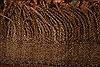 Baluch Beige Hand Knotted 36 X 62 Area Rug 100-27772 Thumb 5