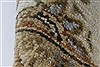 Kashan Beige Hand Knotted 41 X 54 Area Rug 250-27867 Thumb 10