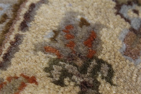 Kashan Brown Hand Knotted 41 X 63 Area Rug 250-27869 Image 12