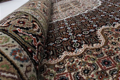 Mahal Beige Hand Knotted 41 X 61 Area Rug 250-27874 Image 8