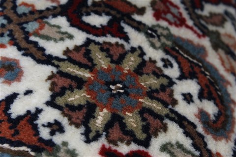 Bidjar Beige Hand Knotted 40 X 60 Area Rug 250-27881 Image 8
