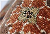 Serapi Brown Hand Knotted 40 X 511 Area Rug 250-27887 Thumb 13