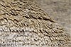 Gabbeh Beige Hand Knotted 65 X 79  Area Rug 100-27896 Thumb 17