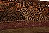 Baluch Brown Hand Knotted 30 X 52 Area Rug 100-27907 Thumb 5
