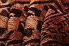 Baluch Orange Hand Knotted 44 X 78 Area Rug 100-27911 Thumb 3