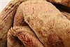 Baluch Beige Hand Knotted 36 X 56 Area Rug 253-27913 Thumb 1