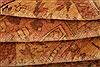 Baluch Beige Hand Knotted 36 X 56 Area Rug 253-27913 Thumb 3