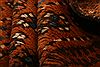 Baluch Orange Hand Knotted 30 X 53 Area Rug 253-27915 Thumb 2