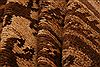 Baluch Beige Hand Knotted 410 X 511  Area Rug 100-27921 Thumb 2