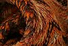 Baluch Orange Hand Knotted 41 X 55 Area Rug 100-27925 Thumb 2