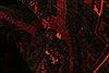 Baluch Red Hand Knotted 37 X 62 Area Rug 100-27929 Thumb 1