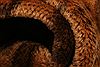 Baluch Brown Hand Knotted 511 X 911 Area Rug 100-27937 Thumb 1