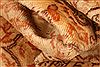 Kayseri Brown Hand Knotted 64 X 101 Area Rug 253-27982 Thumb 1