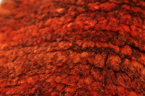 Gabbeh Brown Hand Knotted 46 X 48 Area Rug 100-28052 Image 17