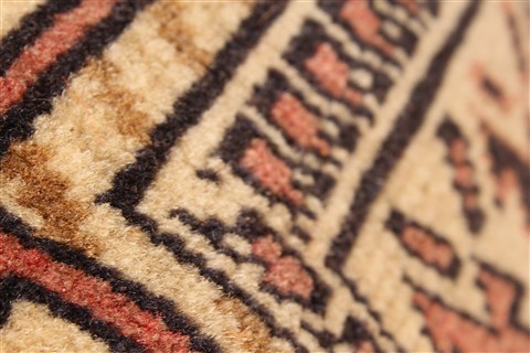 Ghoochan Brown Hand Knotted 34 X 50 Area Rug 100-28057 Image 10