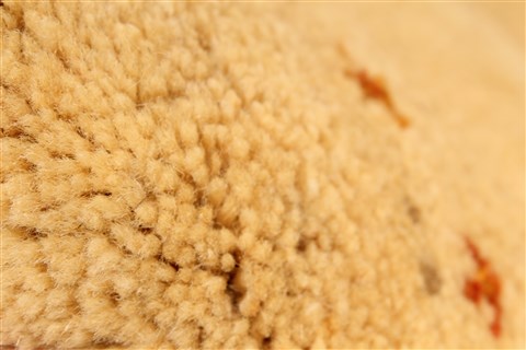 Gabbeh Beige Hand Knotted 37 X 53 Area Rug 100-28065 Image 8