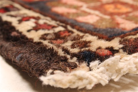 Bakhtiar Red Hand Knotted 51 X 85 Area Rug 100-28078 Image 11