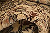 Kayseri Beige Hand Knotted 66 X 98 Area Rug 253-28079 Thumb 1