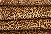 Kayseri Beige Hand Knotted 66 X 96 Area Rug 253-28085 Thumb 4
