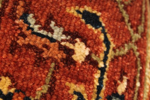 Serapi Brown Hand Knotted 40 X 61 Area Rug 250-28115 Image 11