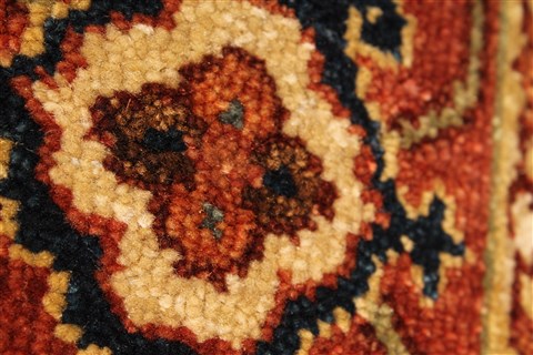 Serapi Brown Hand Knotted 40 X 61 Area Rug 250-28115 Image 12