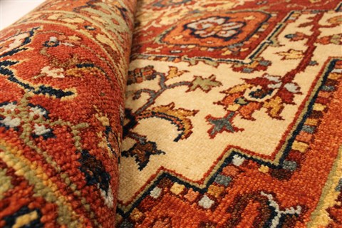Serapi Brown Hand Knotted 40 X 61 Area Rug 250-28115 Image 1