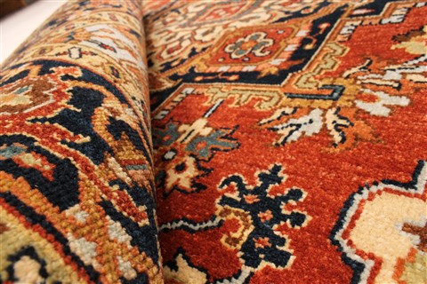 Serapi Brown Hand Knotted 40 X 61 Area Rug 250-28121 Image 1