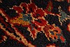 Kashan Red Hand Knotted 99 X 134 Area Rug 100-28138 Thumb 2