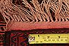 Bakhtiar Red Hand Knotted 210 X 44 Area Rug 253-28163 Thumb 5