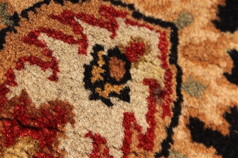Jaipur Red Hand Knotted 60 X 90 Area Rug 250-28207 Image 1