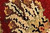 Jaipur Black Round Hand Knotted 80 X 80 Area Rug 250-28216 Thumb 5