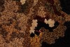 Jaipur Red Hand Knotted 40 X 60 Area Rug 250-28219 Thumb 3