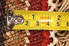 Jaipur Beige Round Hand Knotted 40 X 40 Area Rug 250-28224 Thumb 2