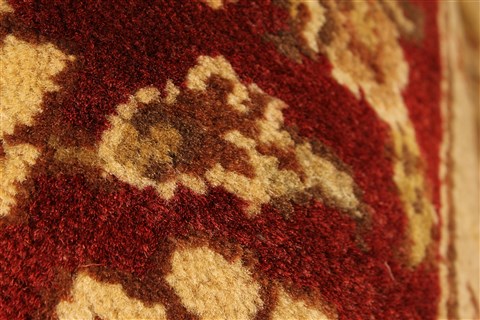Jaipur Beige Hand Knotted 40 X 60 Area Rug 250-28240 Image 8