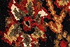 Jaipur Beige Hand Knotted 60 X 90 Area Rug 250-28253 Thumb 10