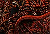 Baluch Orange Hand Knotted 32 X 410 Area Rug 253-28264 Thumb 3
