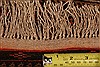Baluch Orange Hand Knotted 32 X 410 Area Rug 253-28264 Thumb 5