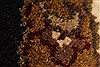 Jaipur Black Round Hand Knotted 60 X 60 Area Rug 250-28309 Thumb 5
