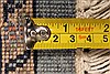 Bidjar Beige Runner Hand Knotted 28 X 60 Area Rug 250-28310 Thumb 4