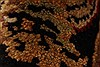 Jaipur Red Hand Knotted 30 X 50 Area Rug 250-28311 Thumb 3