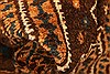 Baluch Brown Hand Knotted 30 X 47 Area Rug 253-28324 Thumb 1
